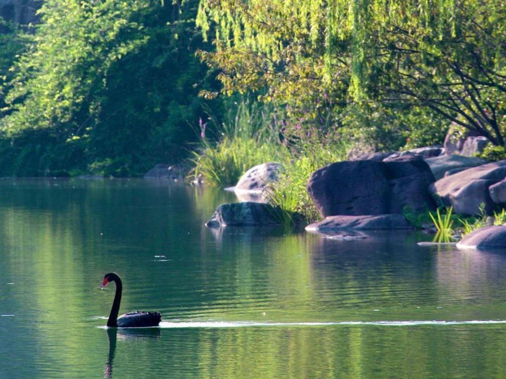 Suzhou Jinji Lake Grand Hotel Exterior photo