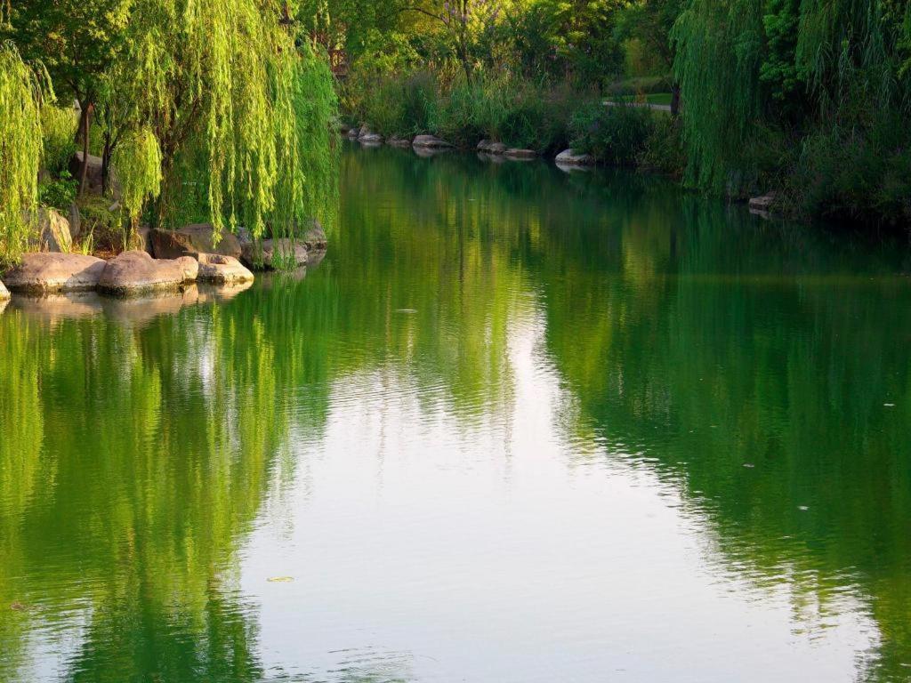 Suzhou Jinji Lake Grand Hotel Exterior photo